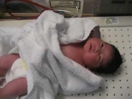 Tuesday - 12/11/2007 Tradeshow Display 2